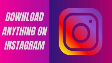 instagram video download snapinsta